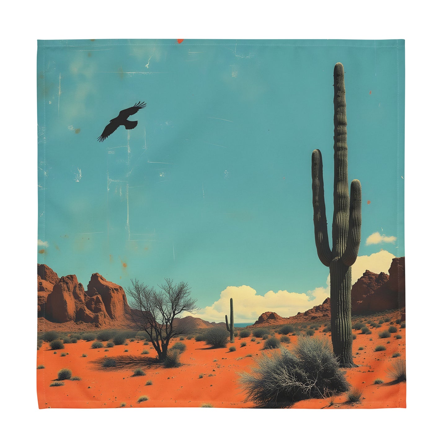 Desert Vibes Cloth Napkin Set of 4