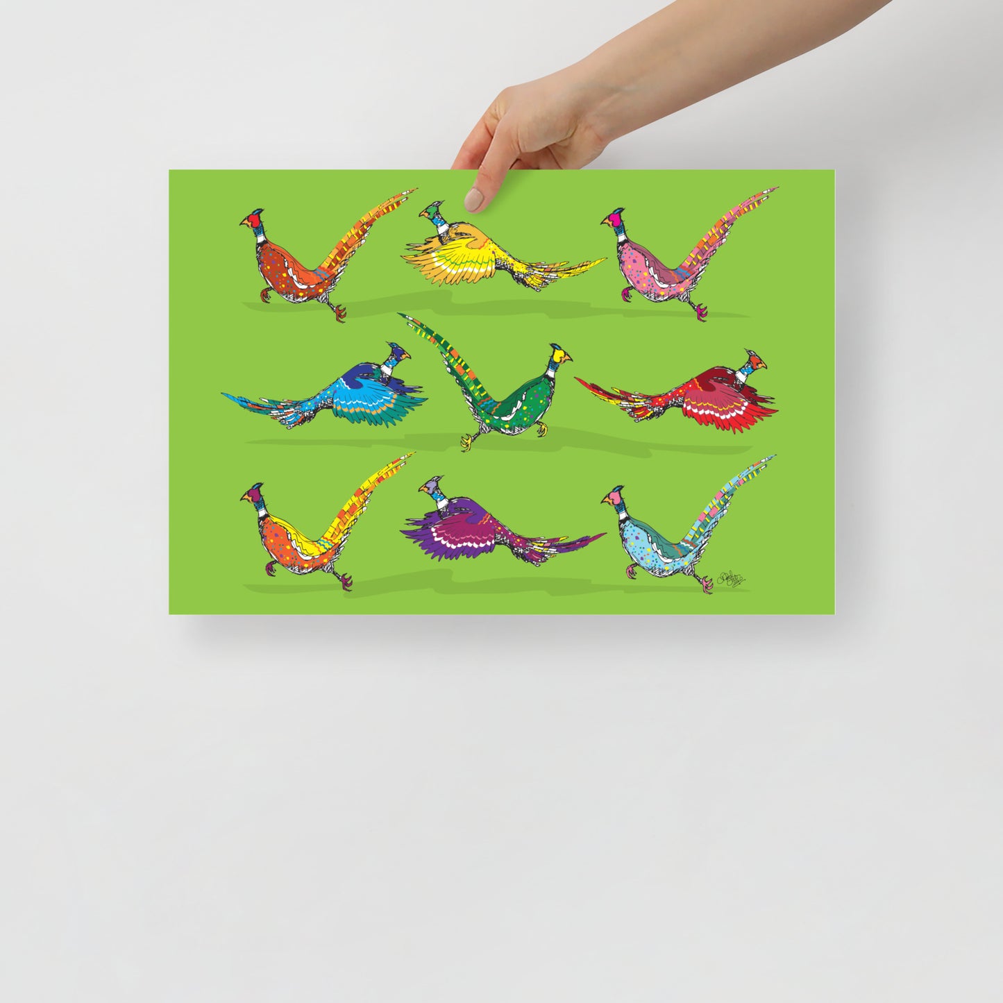 Scamper Series: Pheasants