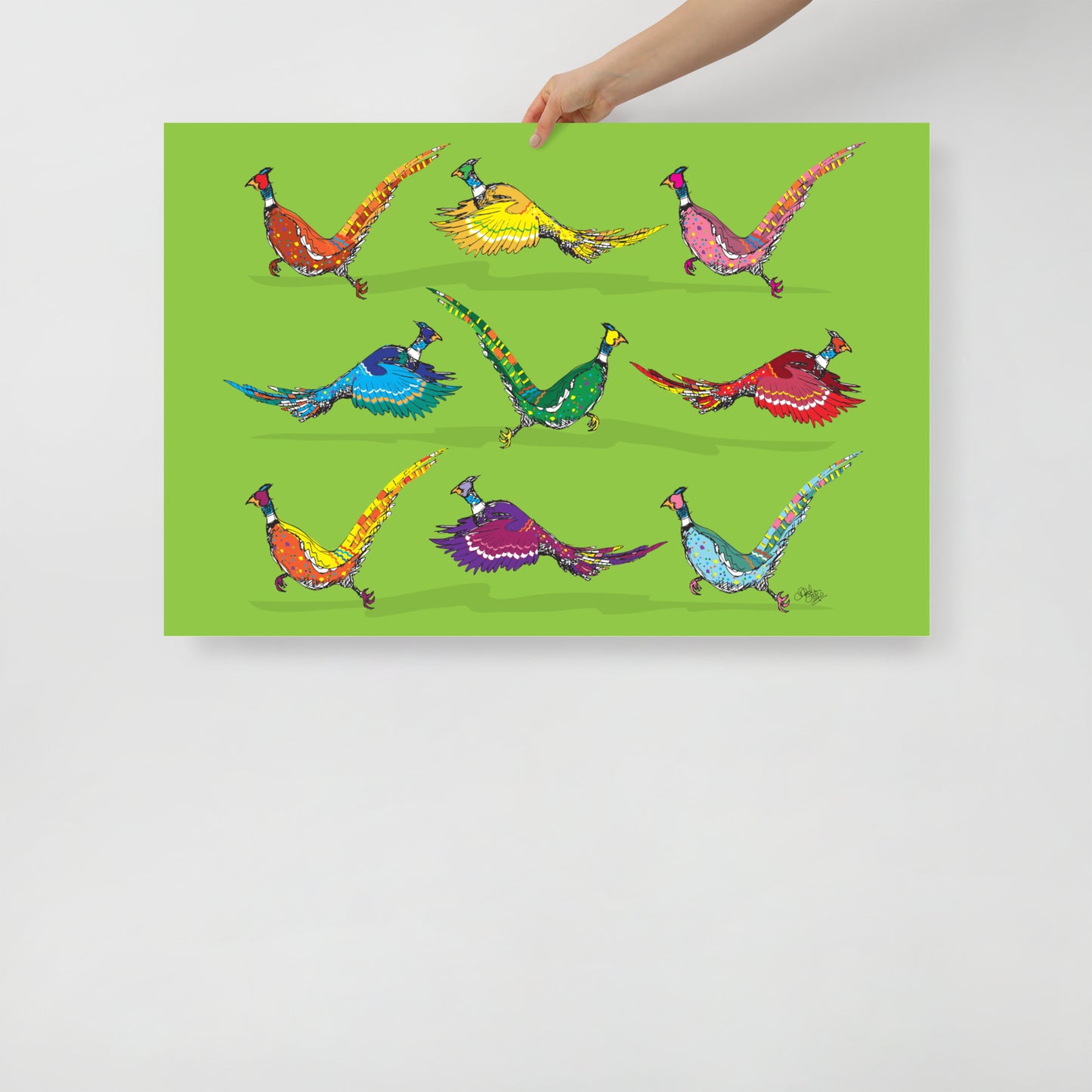 Scamper Series: Pheasants