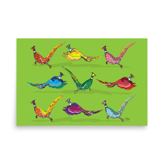 Scampter Rabbit Scamper Series – Fancy MF